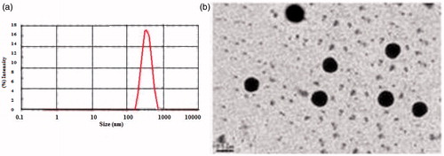 Figure 3. Particle size graph (a) and TEM image of proniosome (b).