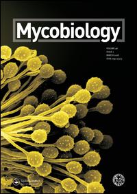 Cover image for Mycobiology, Volume 31, Issue 4, 2003