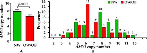 Figure 1 AMY1 copy number and obesity. (A) AMY1 copy number variation in NW and OW/OB participants salivary DNA. (B) The frequency graph shows the distribution of AMY1 copy numbers (nearest whole number) in NW and OW/OB participants.