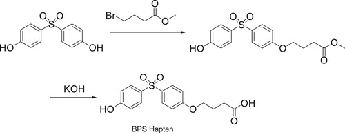 Figure 1. The synthetic route for the hapten of bisphenol S.