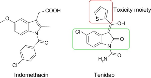 Figure 1 Chemical structures of indomethacin and tenidap. Indole-2-one skeleton (green rectangle) and the moiety (red rectangle) which may contribute to the toxicity are marked.