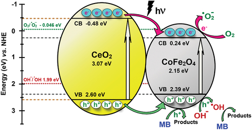 Figure 9. Photocatalytic degradation of MB dye over CeO2/CoFe2O4 heterojunction photocatalysts.