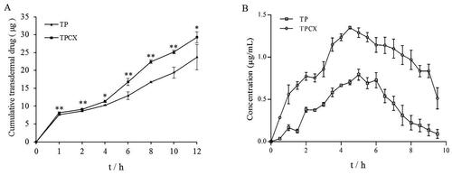 Figure 3. (A) Cumulative permeation–time curves in vitro (n = 3), *p<0.5, **p<.01 vs. triptolide (TP), triptolide phospholipid complex (TPCX). (B) Concentration–time curves of triptolide in skin (n = 5).