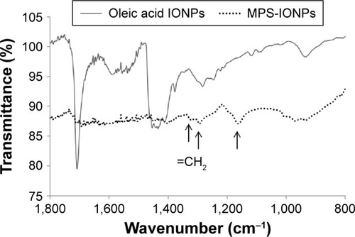 Figure 2 FT-IR analysis of oleic acid- and MPS-coated IONPs.Note: MPS-IONP conjugates were identified by the peaks (indicated by arrows) of the silica (~1,160 cm−1) and acrylate groups (1,280 and 1,300 cm−1).Abbreviations: FT-IR, Fourier-transform infrared; MPS, 3-methacryloxypropyltrimethoxysilane; IONPs, iron oxide nanoparticles.
