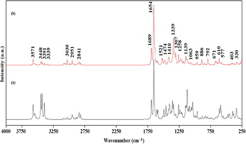 Figure 4. Calculated IR (a) and Raman (b) spectra of Edotecarin.