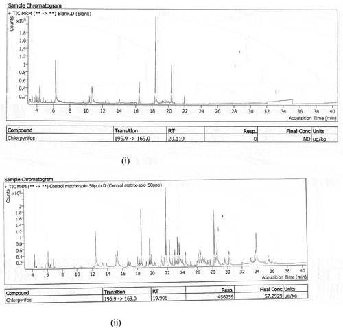 Figure 3. Chromatogram of chlorpyrifos: (i) Blank, (ii) standard, and (iii) samples.