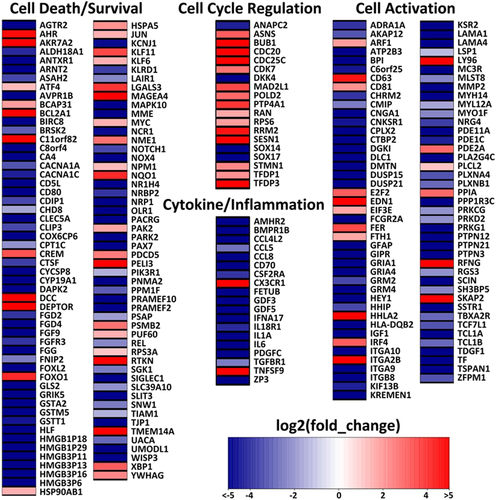 Fig. 7 Functional transcriptome comparison of human CD4+ T cells from spleen tissues of SIVcpz- and HIV-1-infected hu-BLT mice.Heat map of differentially expressed genes (DEGs) in SIVcpz-infected animals compared with HIV-1-infected animals. Log2 fold change is color coded with a range from less than −5 to greater than 5
