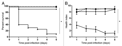 Figure 2. Toxicity of exponential or stationary phase supernatants of M1 GAS in wax worms. M1 GAS was grown to exponential or stationary phase and supernatants collected and filter sterilized prior to injection. Where indicated, heat-inactivation of supernatant was performed at 60 °C for 1 h prior to injection. (A) Kaplan-Meier survival curves of wax worms injected with exponential phase supernatant (squares), stationary phase supernatant (triangles), heat-inactivated stationary phase supernatant (diamonds), or media alone (circles). *P < 0.05 (log-rank). (B) Mean ± SEM health index scores of wax worms injected with exponential phase supernatant (squares), stationary phase supernatant (triangles), heat-inactivated stationary phase supernatant (diamonds), or media alone (circles). *P < 0.05 (2-way ANOVA).