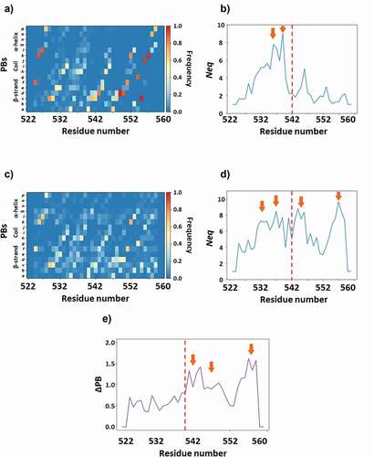 Figure 5. Analysis of I-EGF-3 dynamics. WT Gly540 (panels A, B) and GT variant Asp540 (panels C, D) MDs are analyzed with Protein Blocks though PB maps (panels A, C) and Neq (panels B, D). Panel E shows ΔPB plot. Arrows underlined important values on Neq and ΔPB plot.