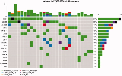 Figure 1. Frequencies and distribution of gene mutations in patients with DLBCL. A total of 41 DLBCL cases were performed with next-generation sequencing. Twenty-seven patients (65.85%) presented at least one variant. The bar chart above presented mutation in each patient. The bar chart nearby presented mutation frequency of each gene.