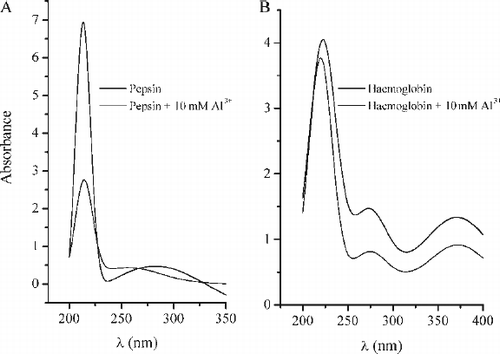 FIG. 5A –UV absorption spectra of pepsin (solid curve) and pepsin treated with 10 mM Al3 + (dotted curve). B - UV absorption spectra of haemoglobin (solid curve) and haemoglobin treated with 10 mM Al3 + (dotted curve). Other spectral curves obtained in a presence of 1 mM and 5 mM Al3 + are not presented because of clarity of the graphs.