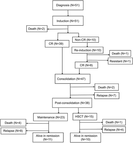 Figure 1 Flow chart of the patients.Abbreviations: CR, complete remission; HSCT, hematopoietic stem cell transplantation.