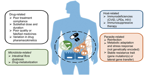 Figure 2 Overview of known and potential factors associated with clinical drug treatment failure of giardiasis.