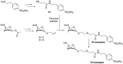 Scheme 3. Schematic synthesis of sulphonamide CAIs using the thiol–ene click chemistry reactions.