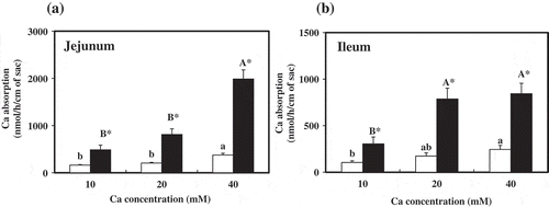 Figure 2. Absorption of calcium by rat everted jejunal (a) and ileal (b) sacs.Everted sacs of jejunum and ileum were incubated at indicated concentrations of Ca in serosal fluid for 30 min, and mucosal solutions were analyzed for calcium.□ Calcium carbonate, ■ Calcium maltobionateValues are presented as means ± SE (n = 6). Means in the calcium carbonate groups or calcium maltobionate groups not sharing the same superscript letter are significantly different (p< 0.05). *Significantly different from the Calcium carbonate group of respective calcium concentration (p< 0.05).F value (P value) for jejunum: Factor　1: 92.7 (p< 0.001), Factor 2: 36.6 (p< 0.001), interaction: 20.6 (p< 0.001)F value (P value) for ileum: Factor 1: 54.4 (p< 0.001), Factor 2: 11.9 (p< 0.001), interaction: 5.06 (p= 0.013)Factor 1: Calcium source, Factor 2: Ca concentration