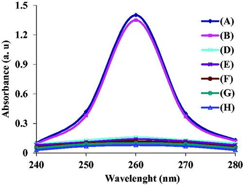 Figure 5. Specificity of the designed nano-biosensor, (Curve A) S. aureus ATCC 25923, (Curve B) S. aureus ATCC 29213, (Curve D) Escherichia coli ATCC 25922, (Curve E) P. aeruginosa ATCC 27853, (Curve F) S. dysentery PTCC 1188, (Curve G) K. pneumoniae ATCC7881, (Curve H) S. epidermidis ATCC 12228.