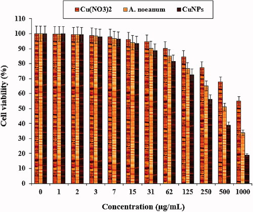 Figure 9. The anti-human endometrial cancer properties of Cu(NO3)2, A. noeanum leaf aqueous extract, and CuNPs against the HEC-1-B cell line.