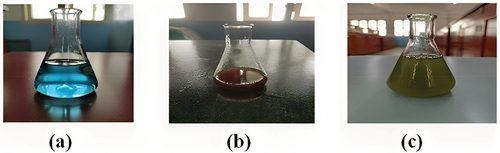 Figure 1. Synthesis of nanoparticles: (a) CuSO4 solution, (b) plant extracts and (c) synthesized CuNPs solution.