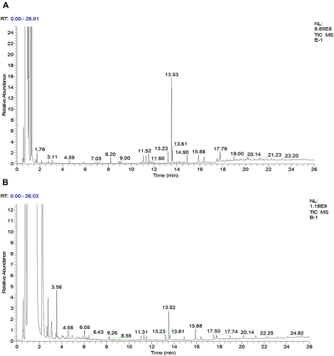 Figure 2 The GC-MS chromatogram represents the separated bioactive constituents. (A) Representative chromatogram of bioactive constituents in ethyl acetate (ASEE) fractions. (B) represents the separated bioactive constituents in butanol (ASB) fractions of A. stenophylla bark.