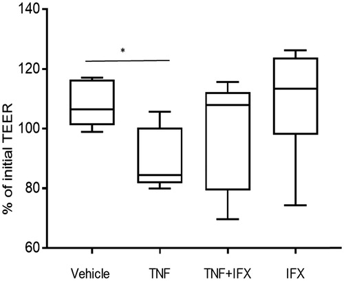 Figure 2. Effects of TNF and infliximab on transepithelial electrical resistance (TEER) of Caco-2 monolayers. Caco-2 cells were grown on transwell filters and exposed to vehicle, 10ng/ml TNF, TNF +1µg/ml infliximab (IFX) or IFX alone for 24 h (n = 9–10 from three separate experiments). TEER is presented as percentage of initial (time 0 min) and given as box plots showing median, 25th–75th percentile in each group (*p < .05, calculated by Mann–Whitney).