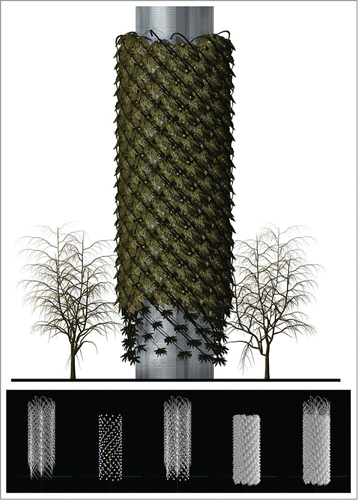 Figure 2. L-Systems and Generative BioAlgorithmic Structure. BioTower. Dennis Dollens. Hypothetical performative leaf movement activated by metabolic controllers for plantlike filtration and sensor/monitor bioremedial systems. Multiple Xfrog-grown e-trees (bottom) illustrating, from left to right: 1) intersecting structural branching (truss), 2) housing for metabolic controllers (pods), 3) branching and pods, 4) leaves, and 5) assembled components. Xfrog/Rhino/3DS Max.