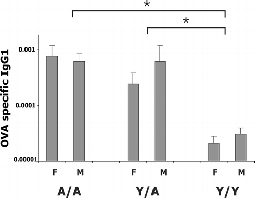 FIG. 7 OVA-specific IgG1 antibody in the serum. All animals were sensitized with 0.5 mg/kg OVA and challenged with 0.4–400 μ g/kg OVA intratracheally. Serum was obtained 24 hr after challenge. Details of treatment groups are shown in Table 1. Values represent the geometric mean ± SE. *p < 0.05 for ANOVA analysis comparing A/A to Y/Y and Y/A to Y/Y. A/A was not different from Y/A.