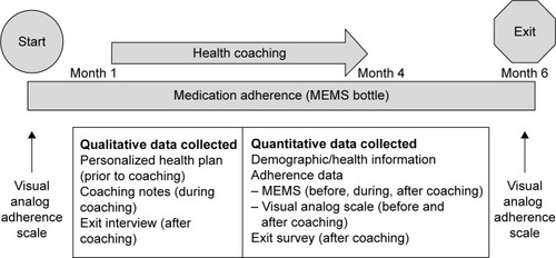 Figure 1 Study overview.