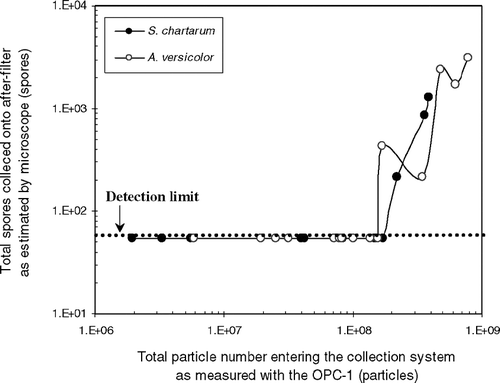 FIG. 3 Spore number collected on the after-filter as a function of the total particle number entering the collection system as measured with the OPC-1. The dotted line represents the lower detection limit of spore numbers (55 spores).