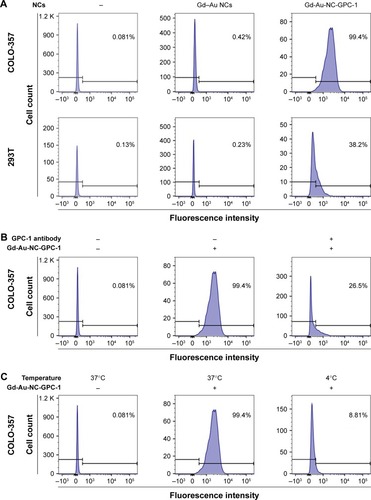 Figure 5 GPC-1 targeted uptake analysis of Gd-Au-NC-GPC-1 at Au concentration of 0.46 mM by flow cytometry. (A) COLO-357 and 293T cells were incubated with Gd-Au-NC-GPC-1 or Gd–Au NCs at 37°C for 2 hours. (B) COLO-357 cells were preincubated with or without GPC-1 antibody (dilution rate, 1:50) at 37°C for 2 hours. After discarding GPC-1 antibody and washing target cells with PBS 2 times, COLO-357 cells were incubated with Gd-Au-NC-GPC-1 at 37°C for another 2 hours. (C) COLO-357 cells were incubated with Gd-Au-NC-GPC-1 at 37°C or 4°C for 2 hours.Abbreviations: Gd-Au-NC-GPC-1, Gd–Au NCs conjugated with GPC-1 antibody; GPC-1, Glypican-1; NCs, nanoclusters.