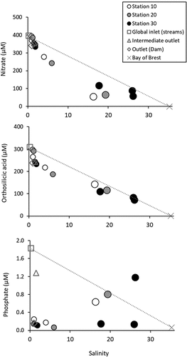 Figure 4. Concentrations of nitrate, orthosilicic acid and phosphate as a function of salinity in the RPR in June 2021. Global inlet concentrations correspond to flowweighted mean concentration of the different tributaries. Marine end-member concentrations (Bay of Brest) were deduced from simultaneous measurements at the nearby SOMLIT (Service d'Observation en Milieu Littoral) marine station (Rimmelin-Maury et al., Citation2016). Note that samples collected at depths below 2 m (for stations 10, 20 and 30) are described with larger circles than the samples collected within the subsurface layer (0–2 m).