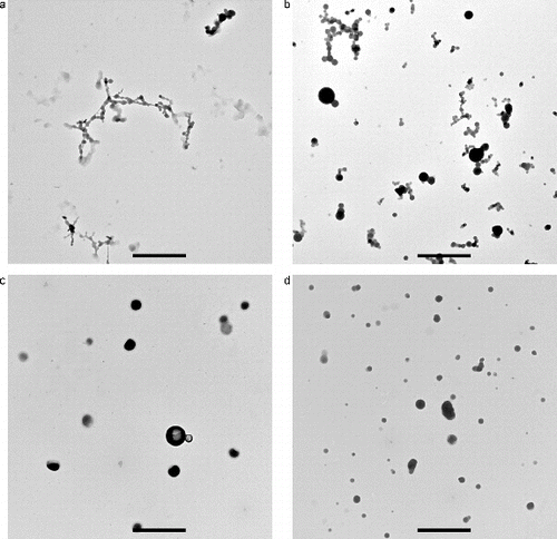 FIG. 4. TEM images of smoke particles generated by Teflon, Pyrell, lamp wick, and Kapton. The reference length scale is 2 μm in length.
