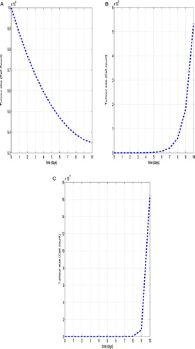 Figure 3. The dynamics of the tumour size in three treatment regimes. Shown are the results of the numerical simulations for Mouse data corresponding from Table 2 with initial condition T(t)=105, B(t)=105, R(t)=105, E(t)=105, I(t)=105, M(t)=105.