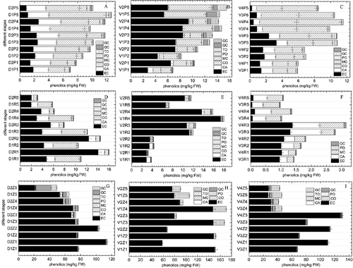 Figure 3. Non-anthocyanin phenolics components and contents at different growth stages.
