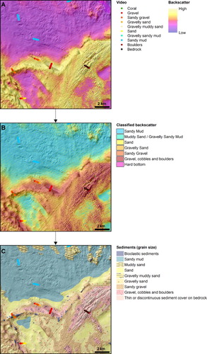 Figure 4. From backscatter to sediment map. Classified video observations are represented by coloured dots. (A) Backscatter map, (B) Backscatter classified based on sediment grain-size information from video observations and (C) Interpreted Seabed sediments (grain size) map.