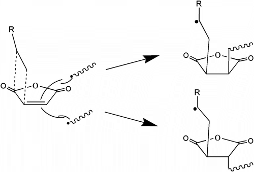 Figure 8 The mechanism of the copolymerization and CTC model of EVE and MA.