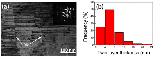 Figure 1. (a) Bright-field (BF) XTEM micrograph with [011¯] zone axis and (b) the statistic graph of twin thickness of the as-deposited NT Cu film.