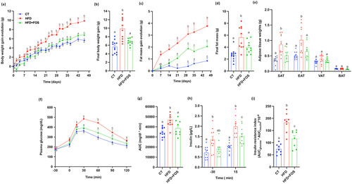 Figure 1. Oligofructose supplementation prevents diet-induced obesity and glucose intolerance. (a) Body weight gain evolution and (c) fat mass gain evolution in grams during 6 weeks of treatment; (b) Final body weight gain and (d) final fat mass gain in grams after 6 weeks of treatment. (e) Adipose tissue weights of subcutaneous (SAT), epididymal (EAT), visceral (VAT) and brown (BAT) adipose tissue in grams after 6 weeks of treatment (n = 10–12/group). (f) Plasma glucose (mg dL−1) profile before and after 2 g/kg glucose oral challenge measured during the oral glucose tolerance test (OGTT) and (g) the mean area under the curve (AUC) (mg dL−1 min−1) (n = 10–12/group). (h) Plasma insulin (µg L−1) measured 30 minutes before and 15 minutes after the glucose administration during the OGTT. (i) Insulin resistance index determined by multiplying the area under the curve (from −30 to 15 min) of blood glucose and plasma insulin obtained during the OGTT (n = 8-9/group). Data are means ± s.e.m. Data with different subscript letters are significantly different (P < 0.05), according to one-way ANOVA followed by Tukey post hoc test for b,d,e,g−i and according to two-way ANOVA followed by Bonferroni post hoc test for a,c,f.