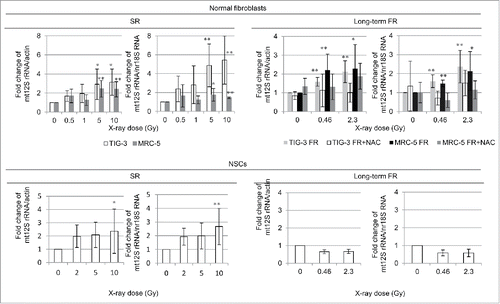 Figure 2. mtDNA copy number increases after SR or long-term FR. Fold changes of mtDNA copy number relative to nDNA induced by SR or long-term FR in TIG-3, MRC-5 (upper graph), and NSCs (lower graph).