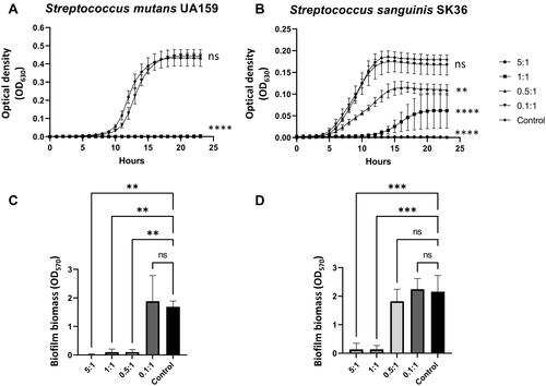 Figure 3 Antibacterial and antibiofilm properties of HEc-EVs against Streptococcus mutans and Streptococcus sanguinis. 24-hour growth curves for (A) Streptococcus mutans UA 159 and (B) Streptococcus sanguinis SK 36 in the presence of increasing ratios of HEc-EVs. Ratios represent HEc-EVs: CFU (Colony Forming Units). Results expressed as mean ± SEM (**p<0.01, ****p<0.0001, compared to control; two-way ANOVA with Dunnett’s multiple comparisons test; n=3, 3 technical replicates per group). Biofilm biomass assays for 24-hour growth for (C) S. mutans UA 159 and (D) S. sanguinis SK 36. Overall, results show a differential effect of HEc-EVs against both oral streptococci, with a pronounced inhibition of S. mutans UA 159 growth and biofilm formation compared to S. sanguinis (results shown as mean ± SD, **p<0.01, ***p<0.001; one-way ANOVA with Dunnett’s multiple comparisons test; n=3, 3 technical replicates per group).