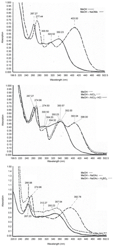 Figure 7.  UV/Vis absorption spectra of compound E-I.2 in (A) MeOH and MeOH/NaOMe, (B) MeOH, MeOH/AlCl3 and MeOH/AlCl3/HCl and (C) MeOH, MeOH/NaOAc, and MeOH/NaOAc/H3BO3.