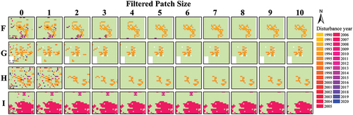 Figure 8. Zoomed-in images of forest disturbances generated by filtering with different patch sizes. Four typical sites (F, G, H, and I) are marked in Figure 6a. Filtered patch size 0 indicates no filtering; filtered patch size i (i.e. 1–10) indicates that disturbance patches containing the number of pixels with an 8-connected rule greater than i were retained.