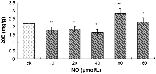 Fig. 5. Effect of NO on 20E content.