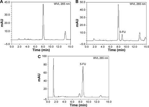 Figure 3 Representative HPLC chromatograms of 5-fluorouracil (5-FU) in tumor-bearing mice biosamples: (A) blank tumor; (B) blank tumor spiked with 5-FU; and (C) tumor sample after oral administration of 5-FU hollow microspheres.