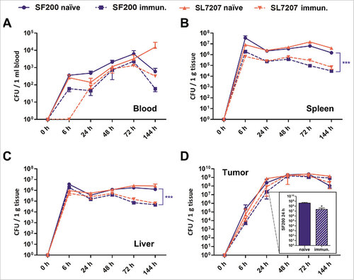 Figure 2. Biodistribution of Salmonella variants in naïve and immunized mice upon intravenous infection. Naïve and immunized CT26 tumor-bearing mice were infected intravenously with 5#106 SL7207 or SF200 (ΔlpxR9 ΔpagL7 ΔpagP8 ΔaroA ΔydiV ΔfliF). The bacterial load in blood (A), spleen (B), liver (C) and tumor (D) were determined by plating over the course of infection. Displayed are values of mean ± SD of four replicates in each group. The inset in Fig. 2D displays enlarged the numbers of CFUs found in the tumors of both types of mice at 24 hrs upon infection with SF200. Clearly, at this time point tumors of immunized mice are colonized ten-fold lower than tumors of naïve mice. At later time points equal colonization is observed. #, p < 0.05; ###, p < 0.001.