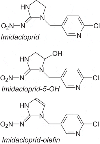 Figure 1. Structure of imidacloprid and its two biologically relevant metabolites.