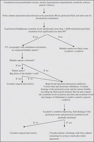 Figure 2. Algorithm for diagnosis and treatment of patients with possible urinary ascites—renal pseudofailure.