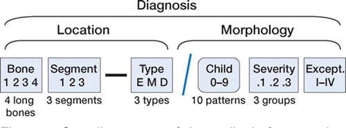 Figure 1. Overall structure of the pediatric fracture classification. From Slongo et al. (Citation2006b).