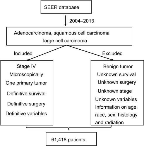 Figure S1 Data filter flow chart based on SEER database.