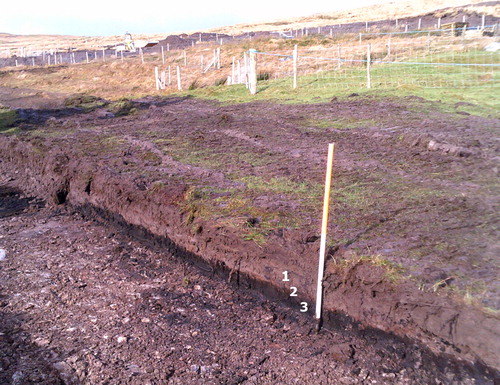 Fig 7 NW-facing view of test trenching in Coolnagoppoge (Co Kerry, Ireland) (see Murphy and Costello Citation2019; excavation license: 16E0127). The site is in an area of hilly blanket bog (c 290 m ASL) which was colonised by tenant farmers in the late 18th or early 19th century. The section consists of, from top to bottom: (1) a greyish-brown sandy silty clay likely created by farmers with burnt lime, livestock dung and sand from nearby streambeds, (2) a very thin iron pan, and (3) a buried dark-brown peat layer which pre-dates the colonisation. Photograph by author.