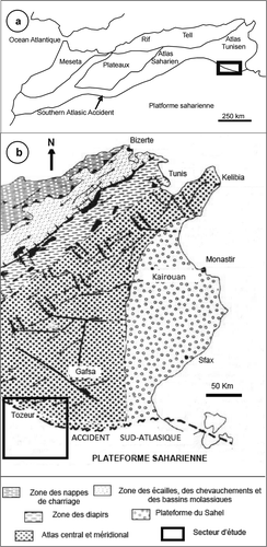 Fig. 2 Localisation du secteur d'étude: (a) carte du relief du Maghreb (Missenard Citation2006, modifiée), et (b) carte des différents domaines tectoniques de la Tunisie (Ben Ayed Citation1986, modifiée).